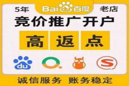 案例解读：SEM托管服务助力企业快速崛起